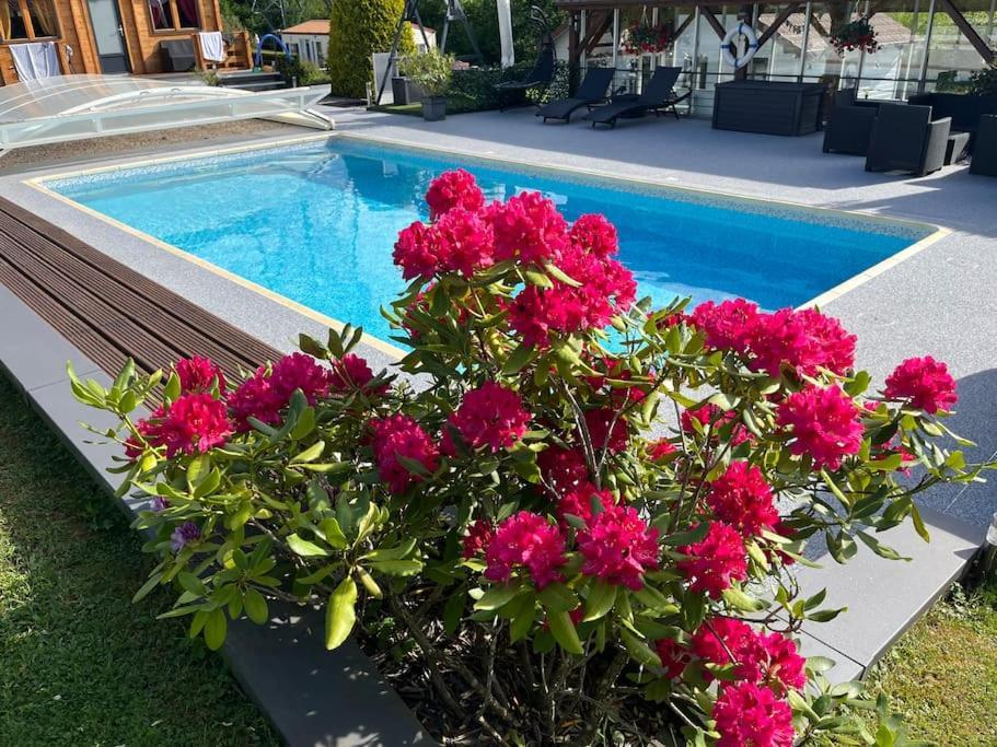 Chalet 2 Personnes Avec Jacuzzi Et Piscine Saisonniere Partagee Corcieux Dış mekan fotoğraf